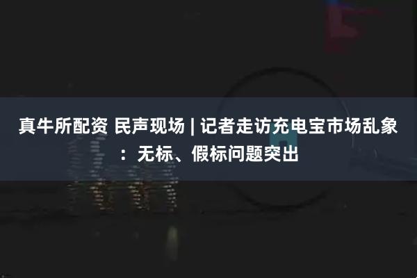真牛所配资 民声现场 | 记者走访充电宝市场乱象：无标、假标问题突出