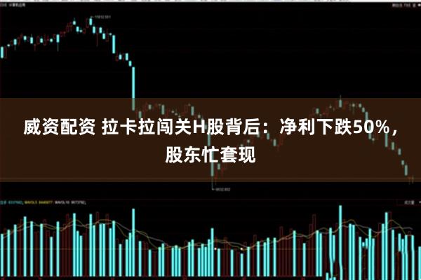 威资配资 拉卡拉闯关H股背后：净利下跌50%，股东忙套现